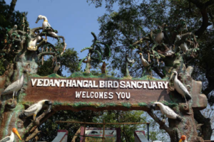 Vedanthangal Bird Sanctuary